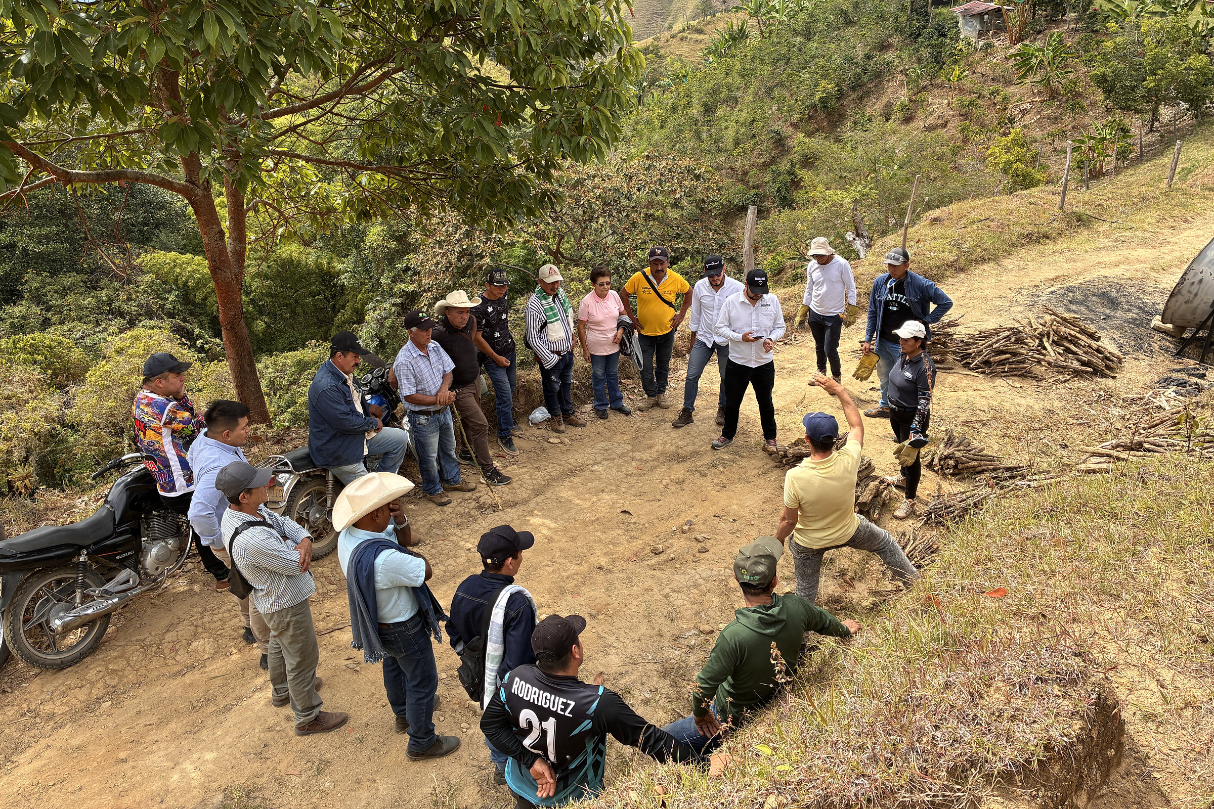 A field school on a coffee hillside: growers and the Cirkular team standing in a circle beside a stack of cut zoca, the Andean range behind them