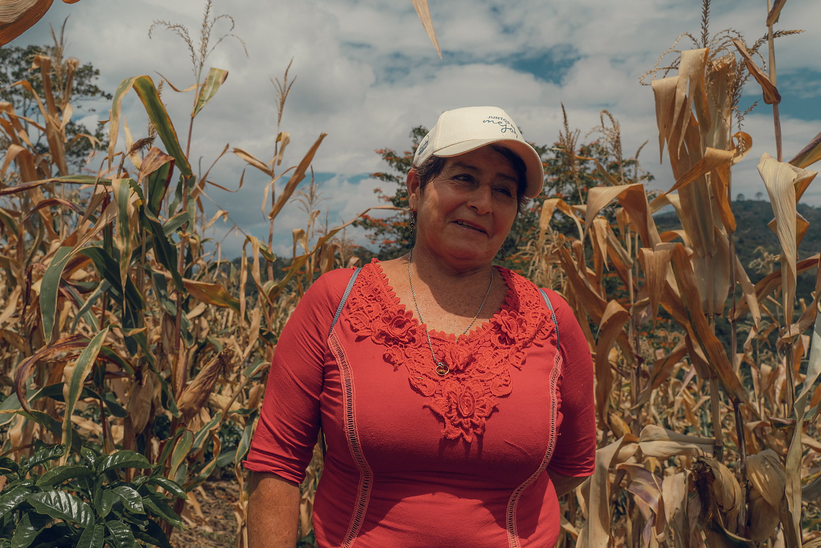 A cafetera in the program standing in her maize plot, young coffee at her feet and the Andean hillside behind