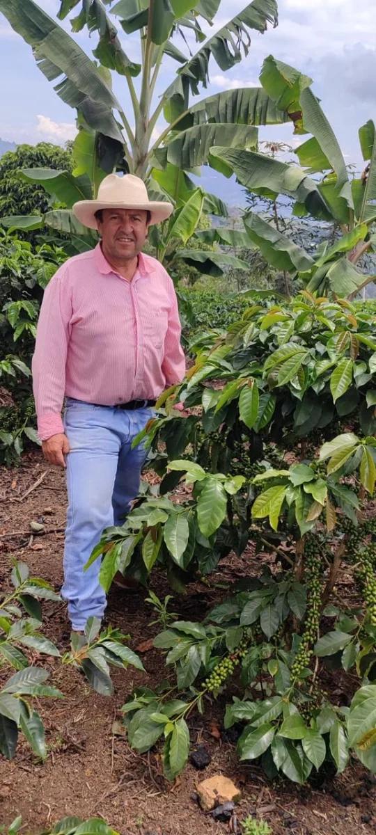 Ferney Macias in a straw hat walking between rows of coffee on his farm in Pital