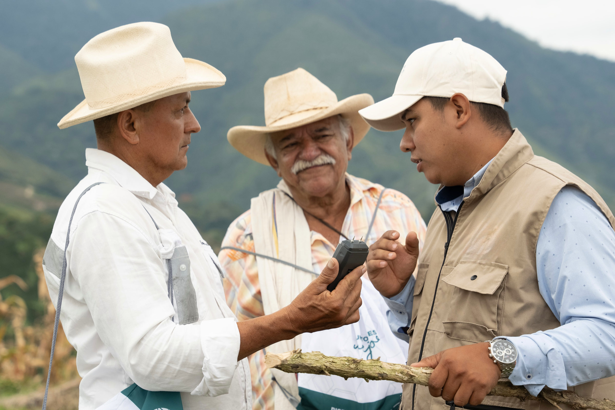 Two growers and a Cirkular field technician around a handheld reader on a coffee slope, one of them holding a cut zoca stem